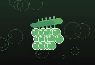 Original illustration of Green Bean; not an in-game sprite